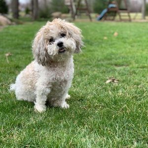 Meet your Posher, Hailee